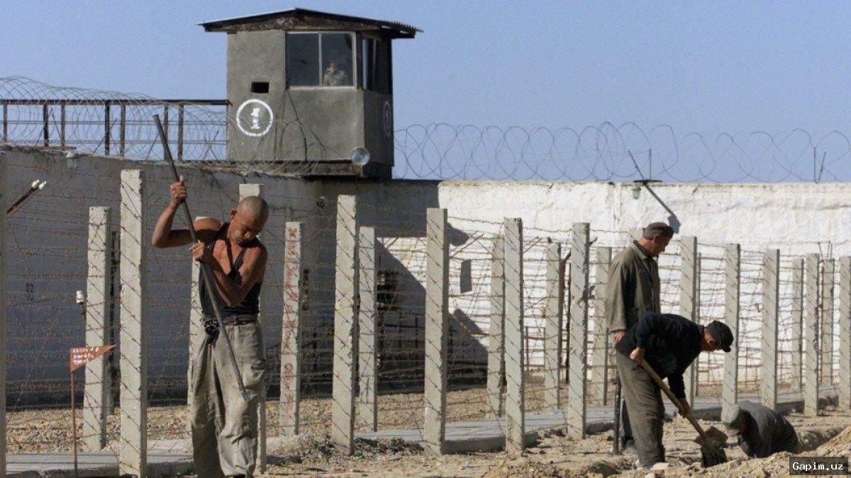 🔒📊 Over 47,000 Inmates Currently Serving Sentences in Uzbekistan