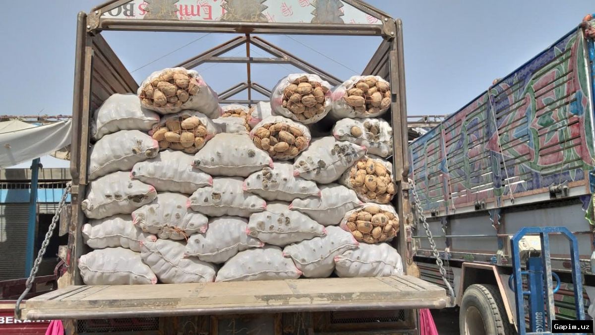 🥔📈 Мирзиёев раскритиковал провал посадки картофеля: рост цен и персональная ответственность чиновников