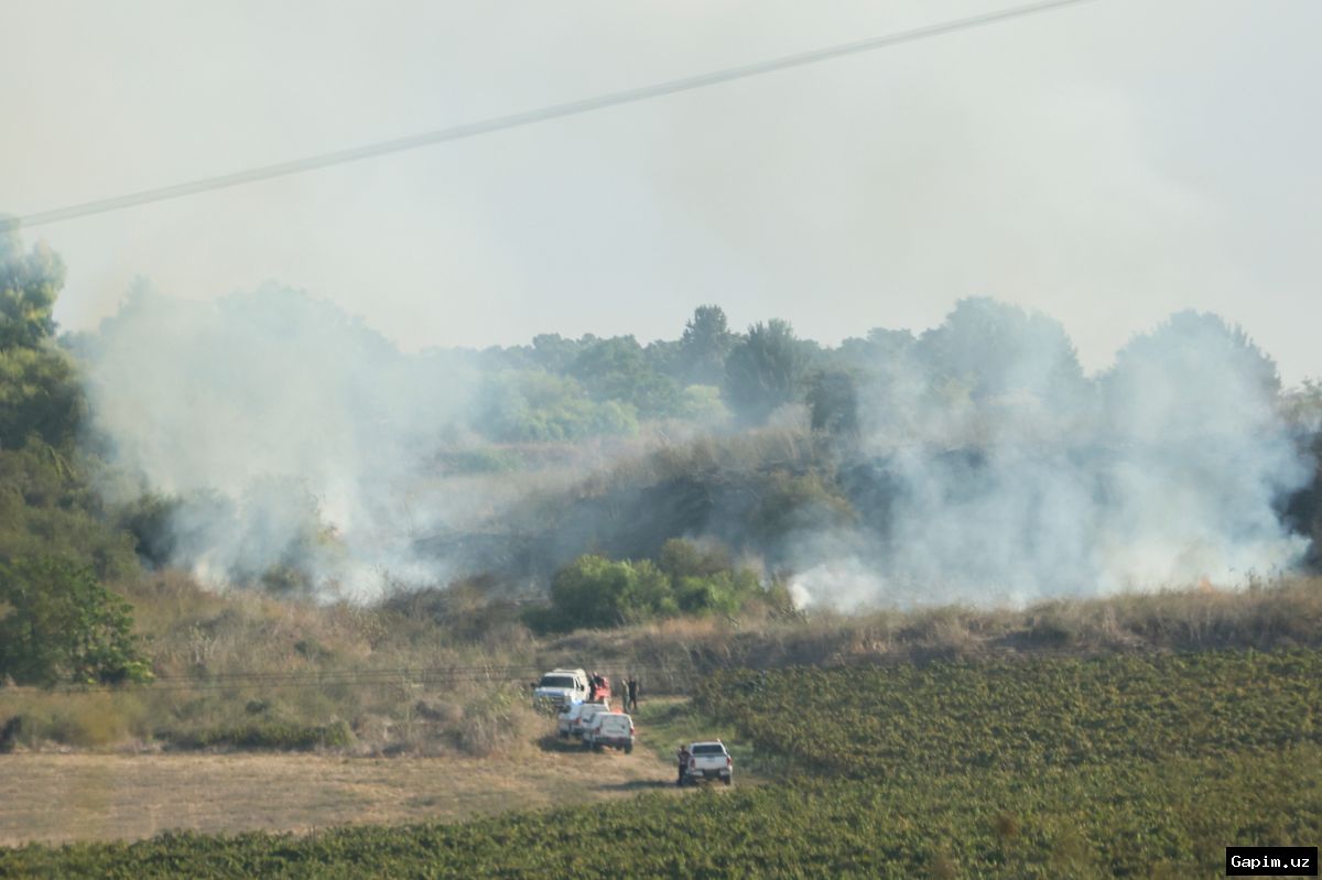 ⚔️🌍 Хуситы Йемена атаковали Израиль: Риск региональной войны и блокады Баб-эль-Мандебского пролива