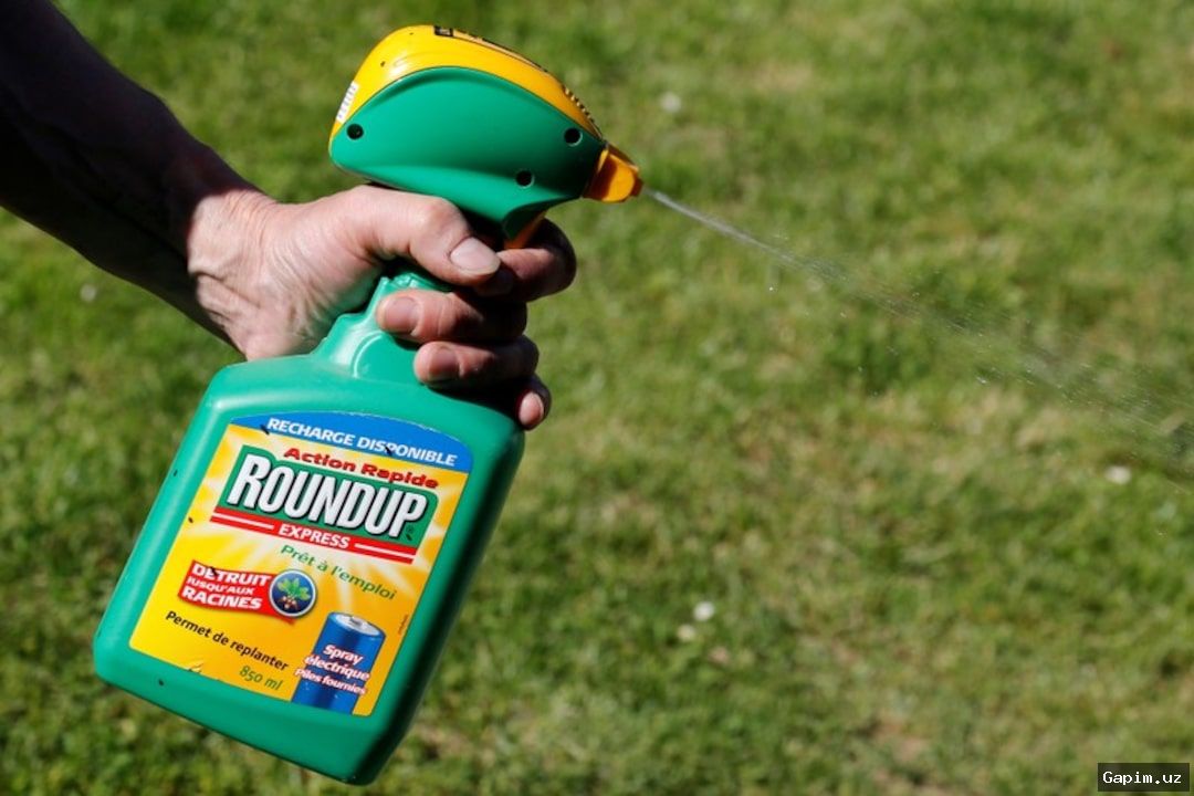 👥📉 Germany: Perceived Decline in Manners, Political Unrest, and Economic Challenges