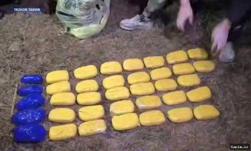 🚨⚖️ В Бекабаде Пресечена Попытка Незаконного Провоза 25,8 кг Наркотиков и Контрабанды через Границу