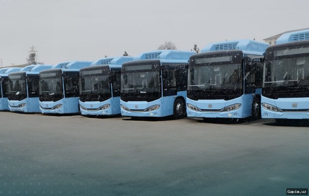 🚌🏙 Buxoroga yana 24 ta avtobus keltirildi