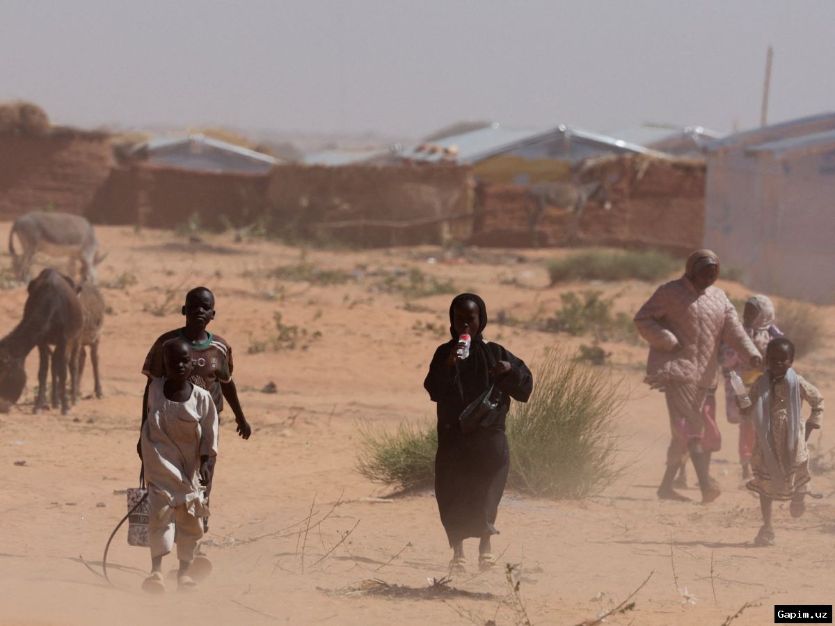 ⚖️🏛️ Thousands held in dire conditions by Sudan's RSF in el-Fasher, NGO says