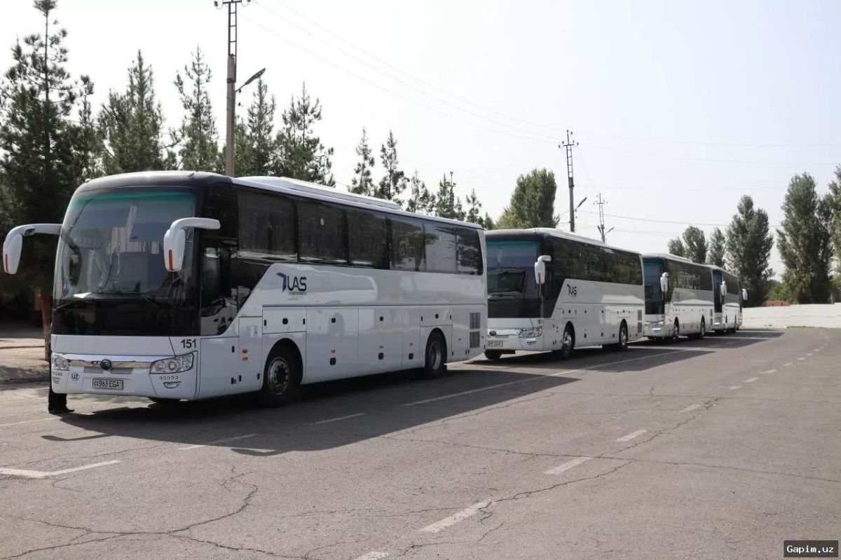 🚌🌳 Tashkent Reopens Bus Route 1226 to Boost Local Tourism