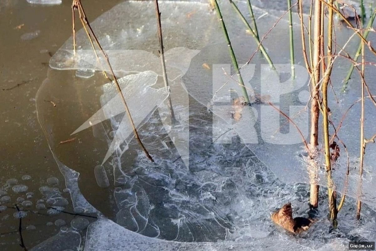 ⚖️😢 Tragedy at Mirzachul District Kindergarten: Head and Teacher Sentenced to Restriction of Freedom