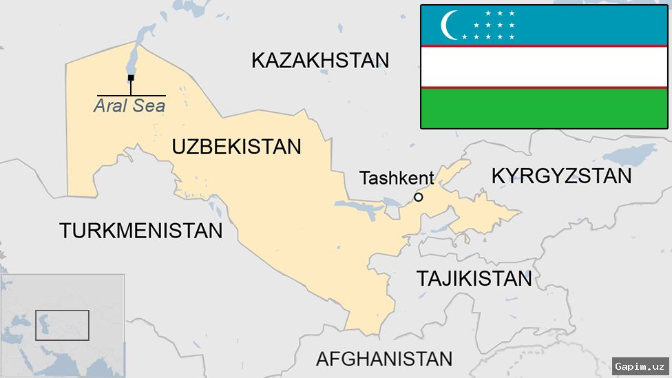 💳🌫️ Weekly Roundup: Online Loans, Ecology, Migration, and Foreign Policy