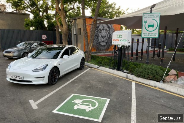 🔌⚠️ Toshkentda elektr quvvatlantirish shoxobchalari xatlovi: 101 ta shoxobcha vaqtincha tarmoqdan uzildi