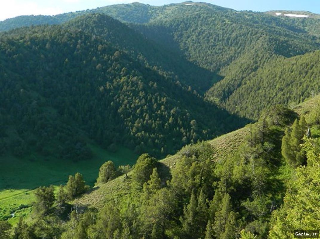 🚗⚠️ В Зааминском районе автомобиль оказался на краю обрыва