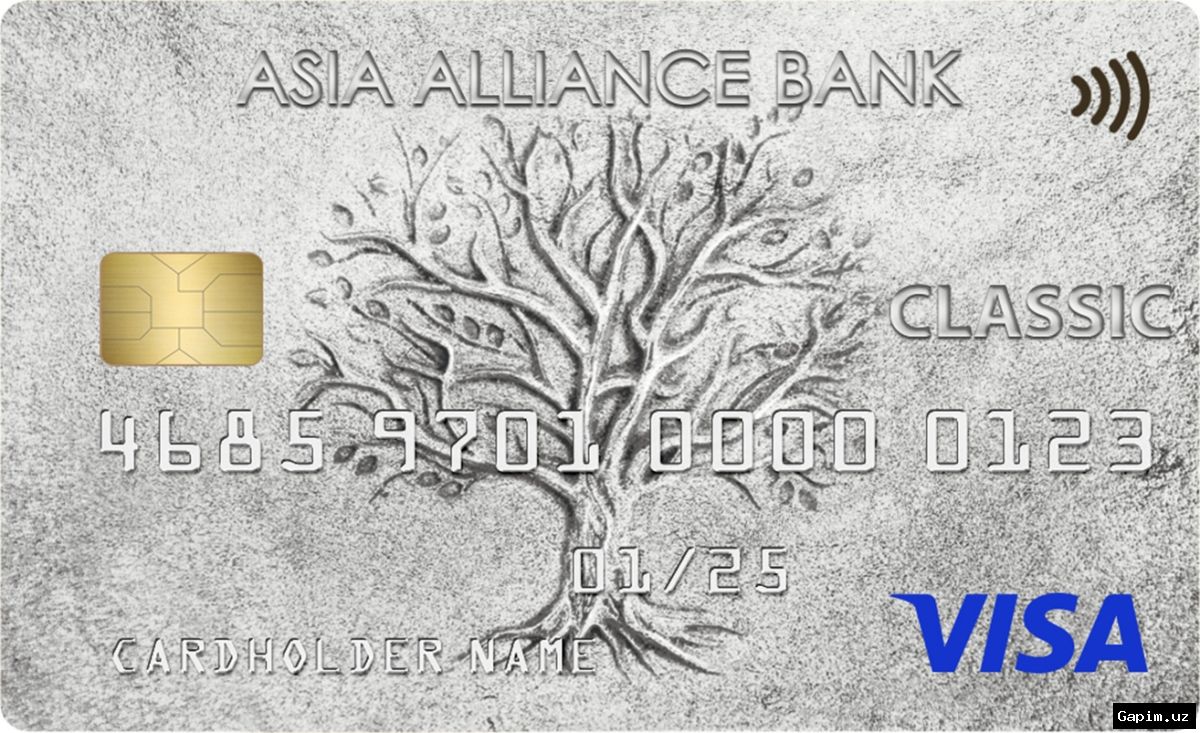 💳🏦 Visa Cards in Uzbekistan: Which Banks, Conditions, and Costs
