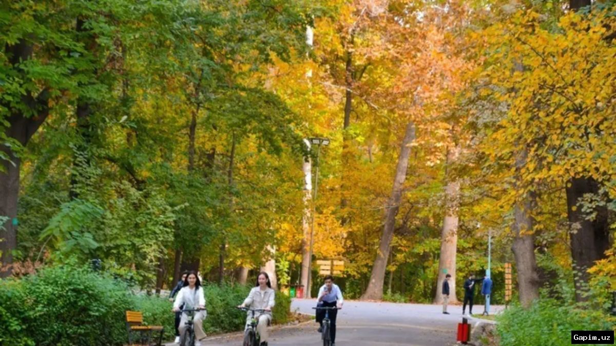 🚳🌳 В Ботаническом саду Ташкента вводится запрет на велосипеды и самокаты