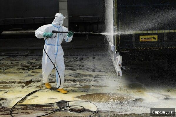 🦠🚨 Uzbekistan Intensifies Measures Against New Strains of Foot-and-Mouth Disease