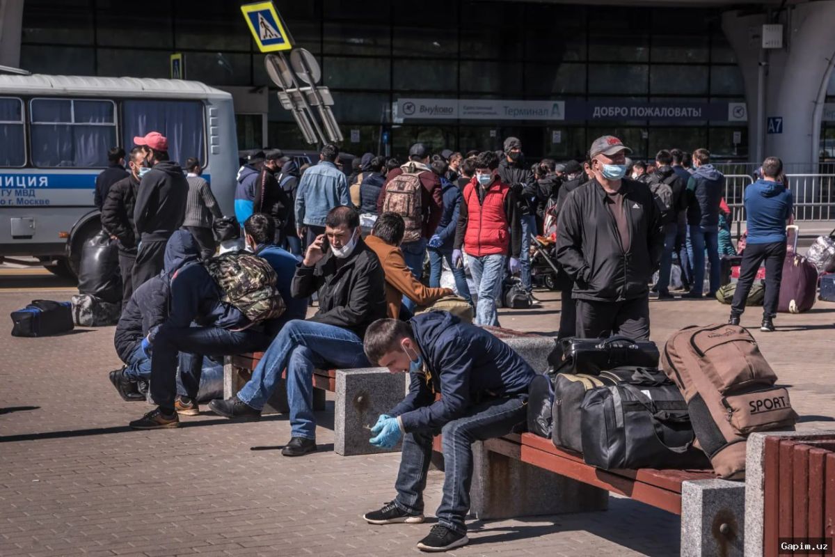 🇺🇿✈️ Uzbekistan's Labor Migration to Russia: Over 106,000 Citizens Sent Through Organized Recruitment in 2025