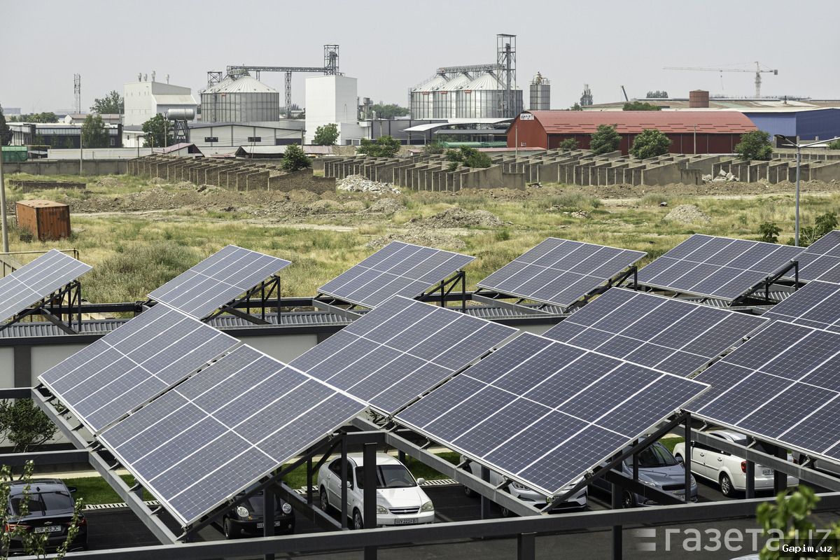 ☀️🌾 O‘zbekistonda quyosh energiyasi va qishloq xo‘jaligi uyg‘unligi: agrovotalika texnologiyasi ilk natijalarni ko‘rsatmoqda