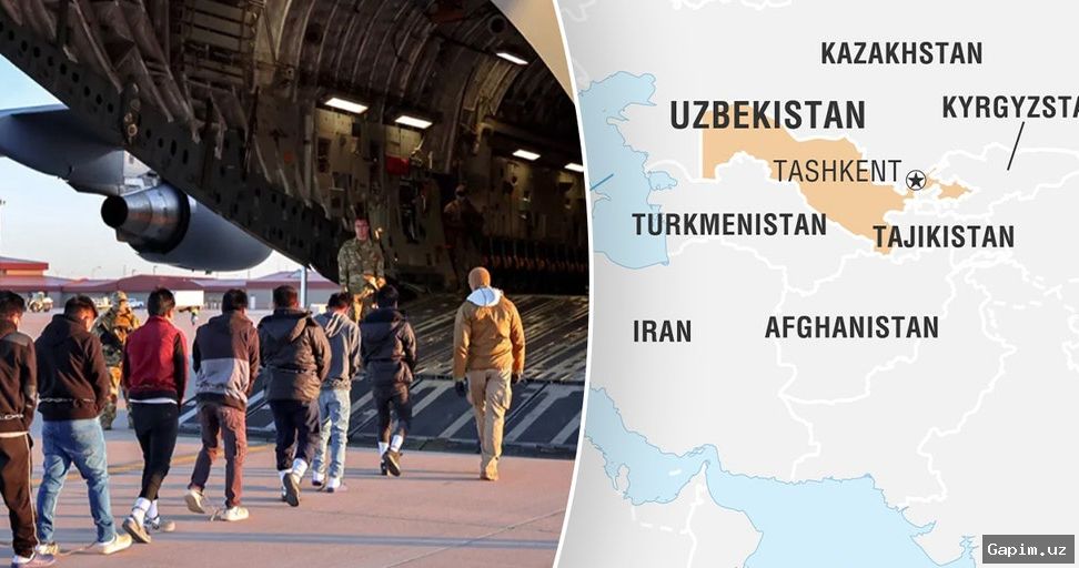 ⚖️🚧 Toshkent tumanidagi bojxona postidagi mojarodan so‘ng bir kishi 10 sutkaga qamaldi