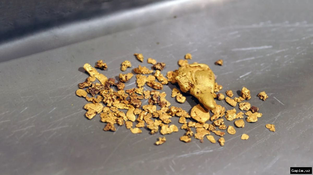 💰🚨 В Навоийской области пресечена деятельность групп по незаконной добыче и переработке золота