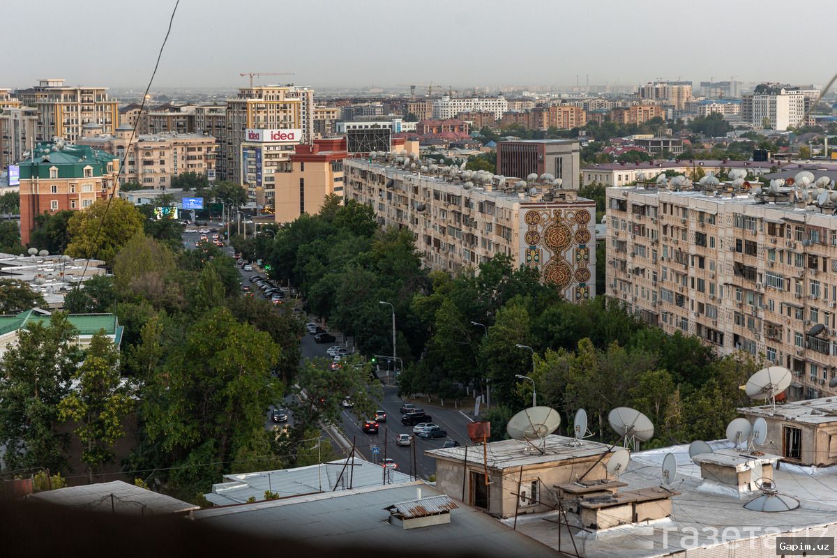 🏘️📊 Ko'chmas Mulk Bozori: 'Soya' Faoliyatni Qanday Qonuniylashtirish Mumkin?