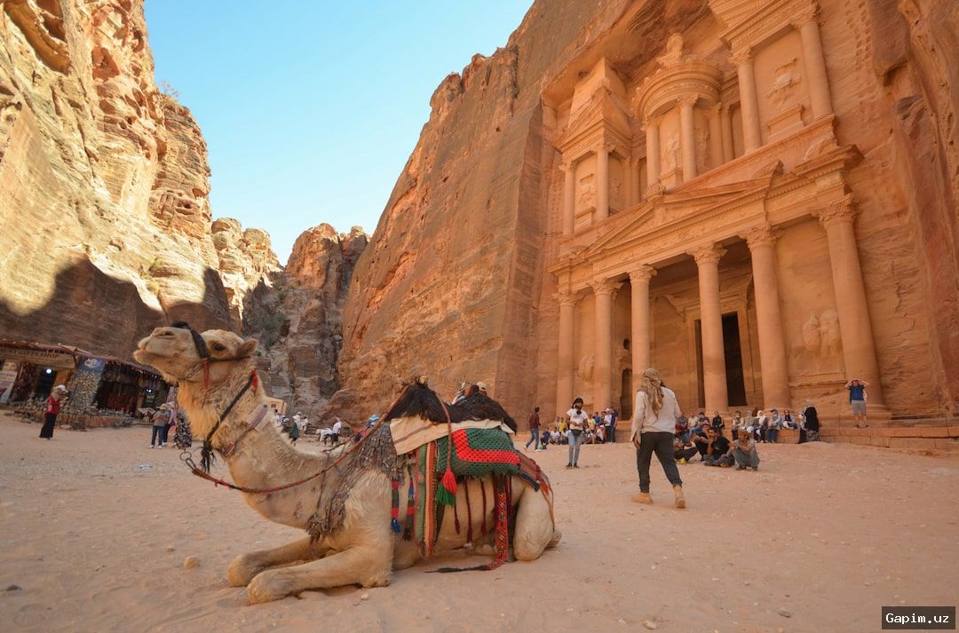 🏜️📉 Jordan's Petra deserted as war devastates tourism sector