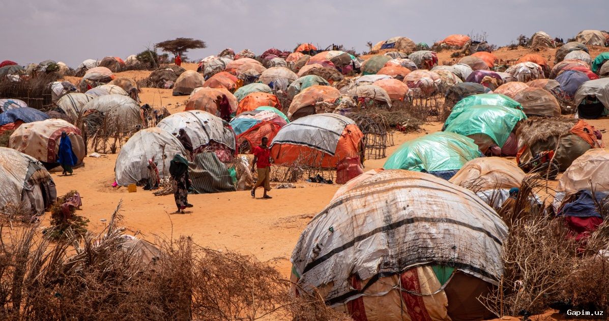 🏚️🌍 Somalia on the brink of famine: US aid cuts deepen humanitarian catastrophe
