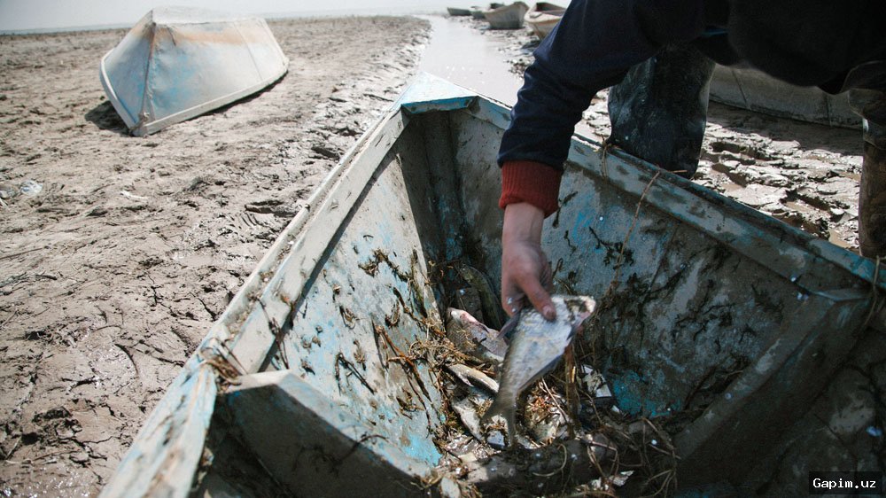 ⚖️🐟 Poachers Using Electric Fishing Gear Caught in Uzbekistan's Syrdarya Region, Causing Over 519 Million Soums in Environmental Damage