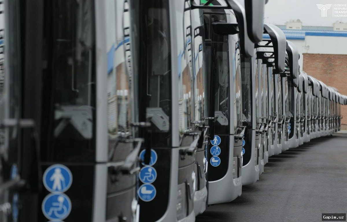 🚌🌿 В Самарканде запускают 250 новых электробусов