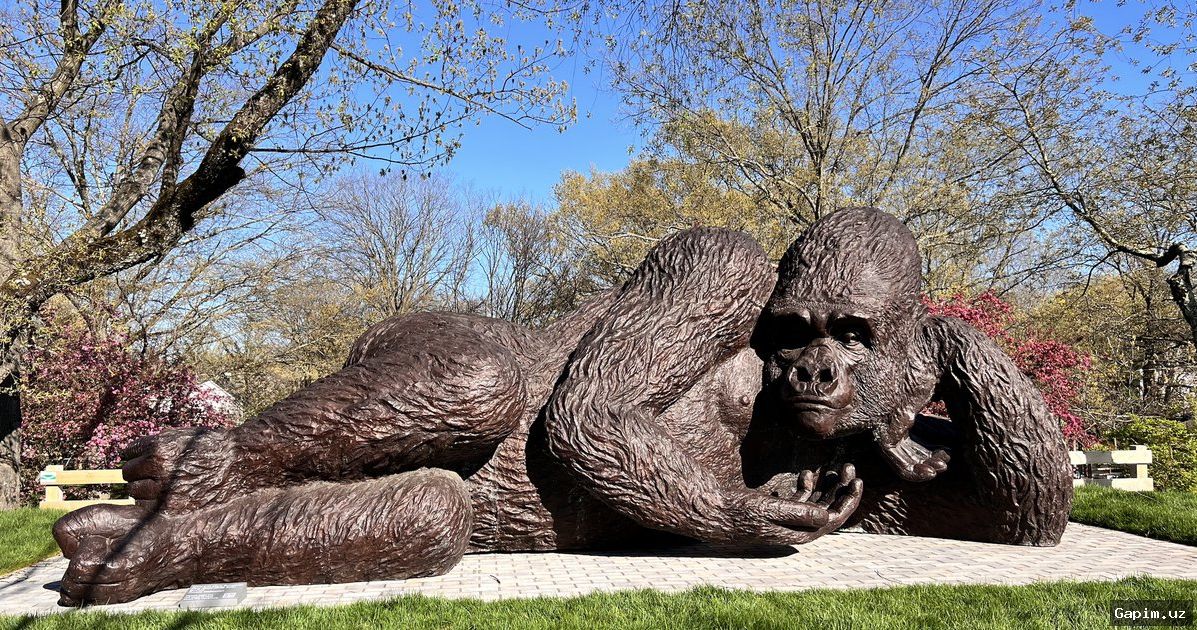 🎨🛑 Muynakdagi art-ob’ekt bilan bog‘liq janjal: Gorilla reklama bannerlarini olib tashladi