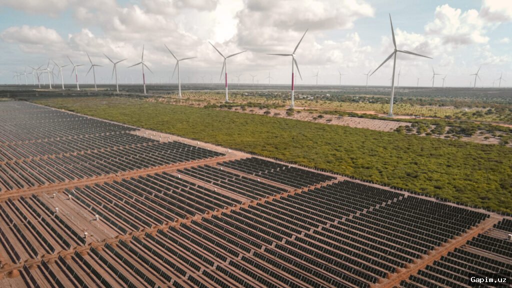 🌞💨 Uzbekistan Sees Rapid Growth in Green Energy Production
