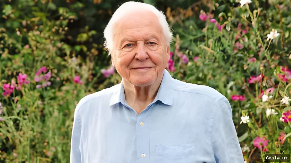 🌍🎬 Sir David Attenborough: The Life and Legacy of a 100-Year-Old Naturalist