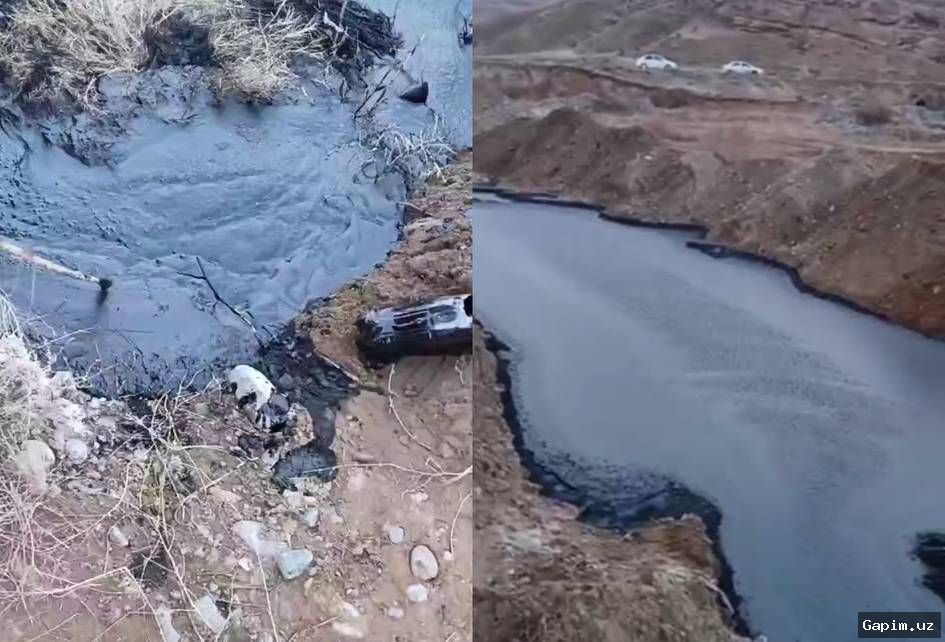 🌊🛢️ Boysunda neft aralash suyuqlikning daryoga oqib ketishi: 8,5 milliard so‘m kompensatsiya hisoblandi