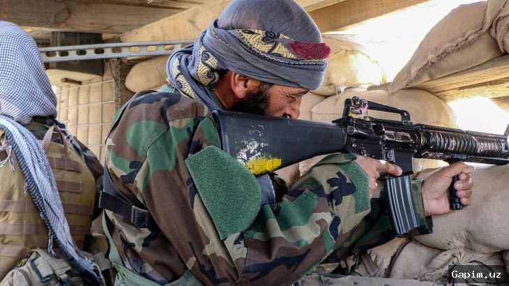 Пакистан и Афганистан сообщают противоречивые данные о жертвах на фоне «открытой войны»