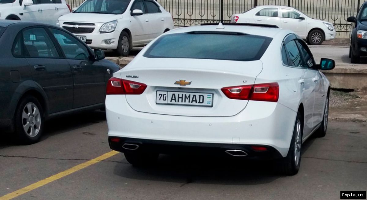 🚗💻 В Узбекистане запущен онлайн-сервис замены поврежденных автомобильных номеров