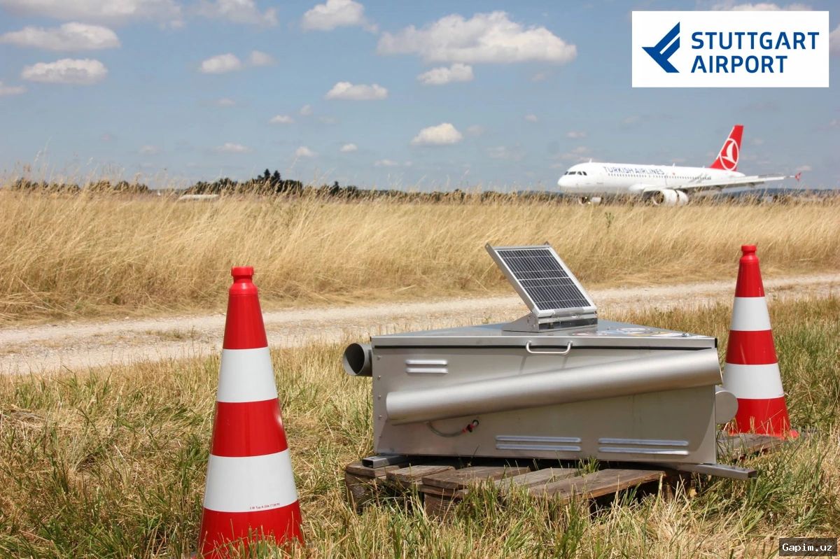 🛩️🐦 Toshkent aeroportida qushlardan himoya qiluvchi sun’iy intellekt tizimi ishga tushdi