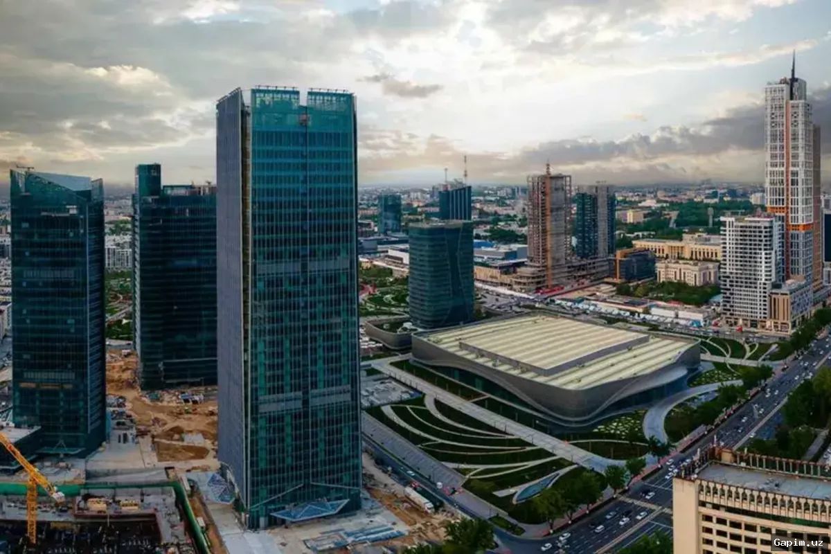 📱📊 Local Online Platforms Maintain Significance on Uzbekistan's Growing Digital Market