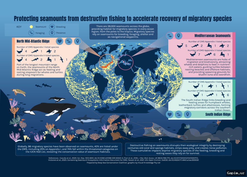 🌍🏆 Uzbekistan Recognized as Global Leader in Wildlife Protection