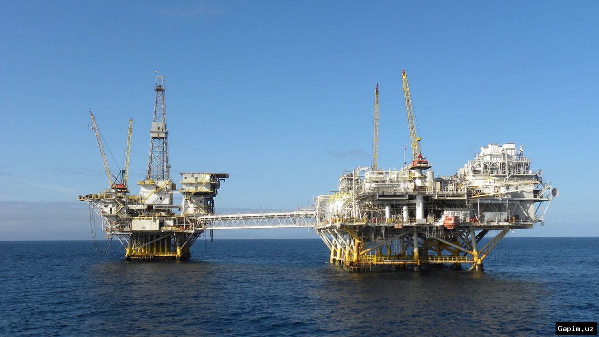 🐋⛽️ US Panel Exempts Gulf of Mexico Drilling from Endangered Species Act, Raising Extinction Fears