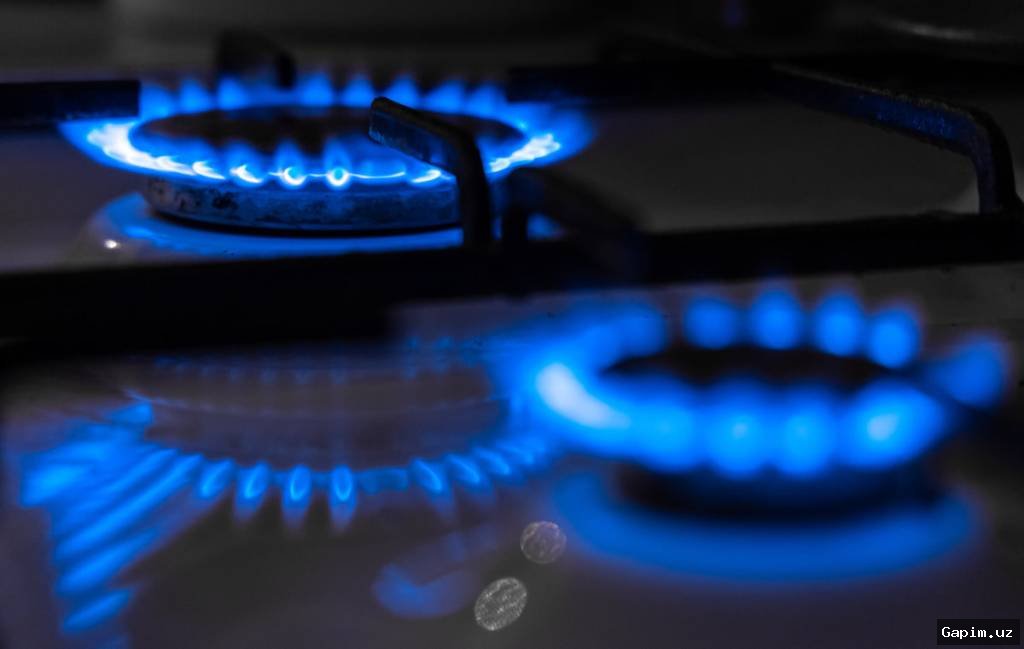 Зимний лимит потребления газа продлен до 15 марта во всех регионах