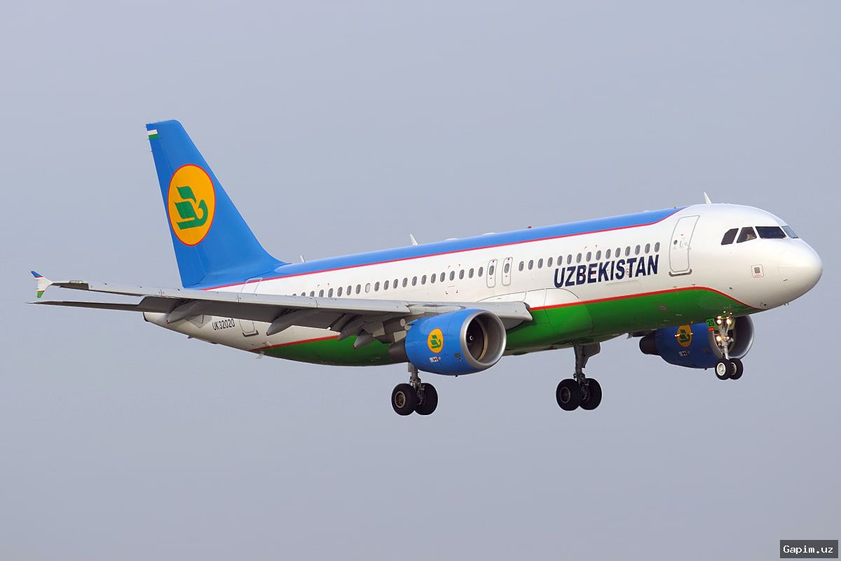 ✈️🌍 Узбекистан стал основным международным направлением для российских авиакомпаний