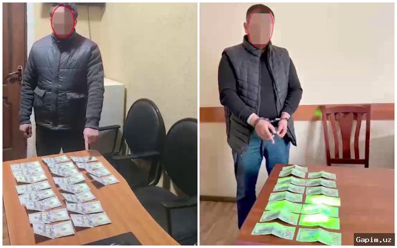⚖️💰 Коррупционная схема в Джизаке: Задержаны госслужащий и мошенник