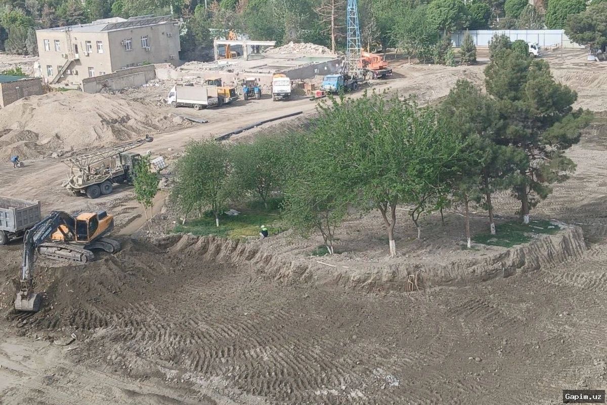 🌲💸 Buxoroda 12 tup archa noqonuniy kesilishi natijasida 95,6 million so‘m zarar yetkazildi