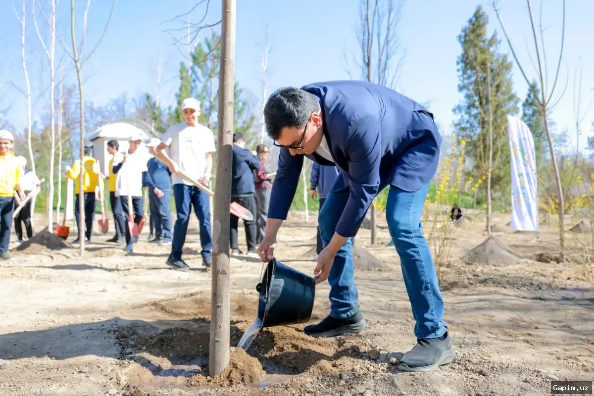 🌳🤝 Toshkentda 'Yashil belbog' loyihasi: 15 ming daraxt ekish aksiyasi bo'lib o'tdi