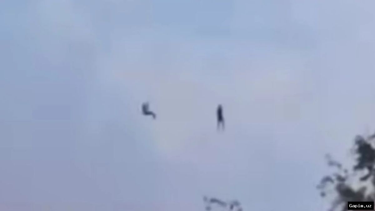 🚡⚠️ Нелегальный зиплайн под Ангреном демонтирован после столкновения