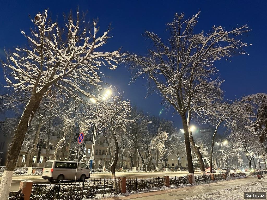 🌧️❄️ В Узбекистане ожидается резкое изменение погоды: от морозов к потеплению