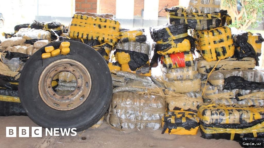 🚨👨‍🏫 В Сурхандарьинской и Сырдарьинской областях пресечены два крупных эпизода незаконного оборота наркотиков