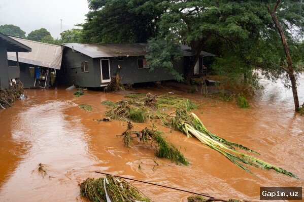 🌧️🚨 Hawaii Under Statewide Flood Watch as Severe Storm Triggers Evacuations
