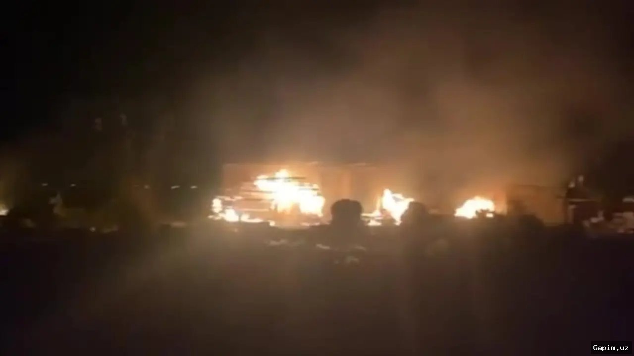 Узбекистан призвал Афганистан и Пакистан немедленно прекратить огонь