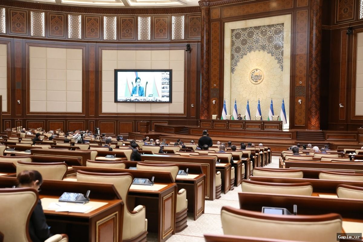 ⚖️🚨 В Узбекистане планируют ужесточить уголовную ответственность: финансирование ОПГ, хулиганство и нелегальные бои